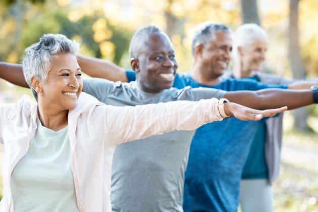 Active seniors stretching