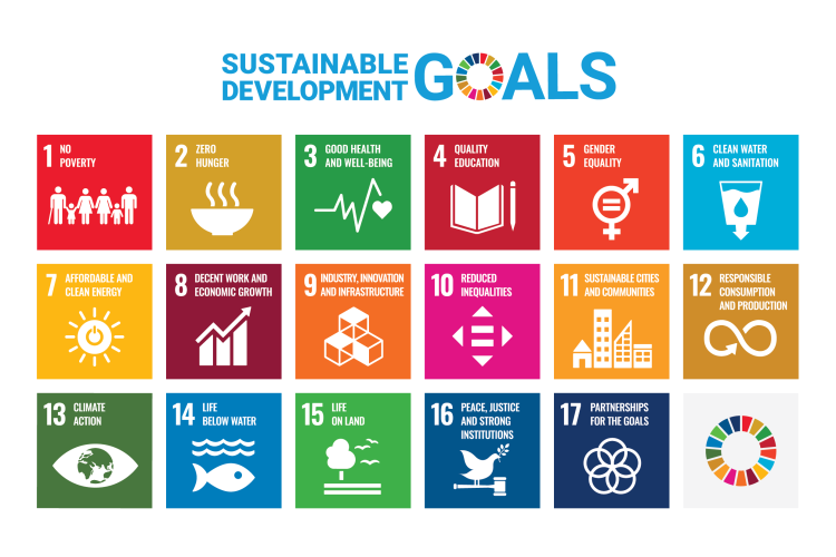 UN development goals