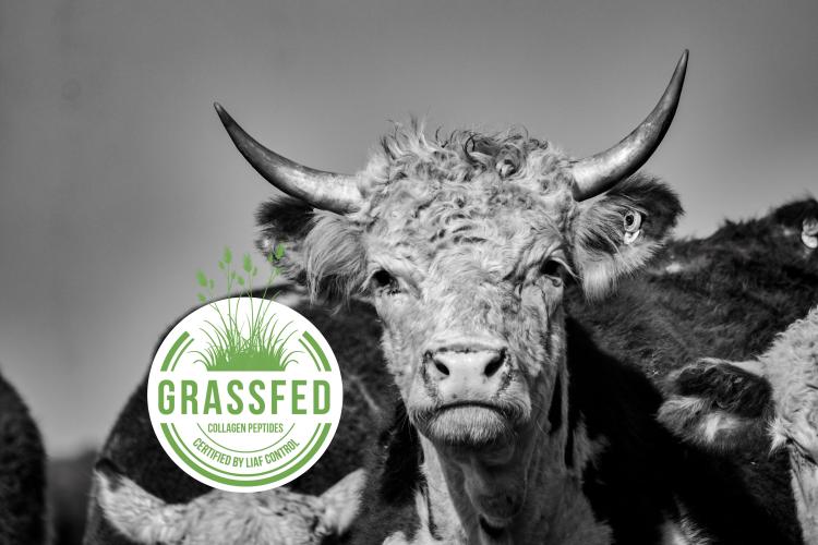 Grass-fed black white with logo